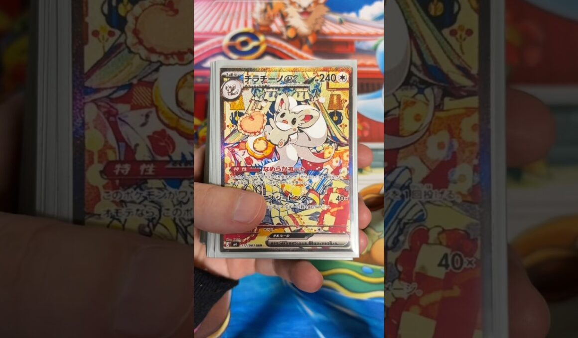 【ダメージ無効⁉︎】チラチーノexデッキ組んでみた！ #ポケモンカード #ポケカ再販最新情報 #ポケカ #pokemon #pokemoncards #ポケモン #ポケカ開封 #pokemontcg