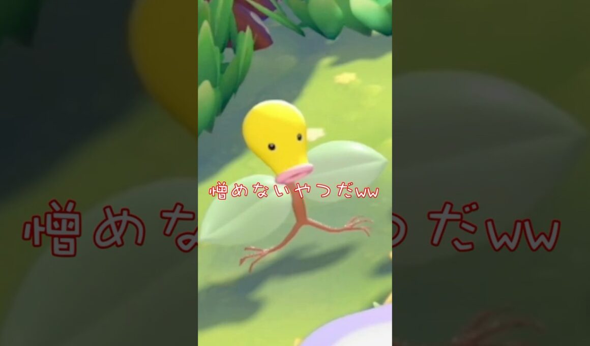 マダツボミちょっと可愛かもww#shorts #ぽこあポケモン