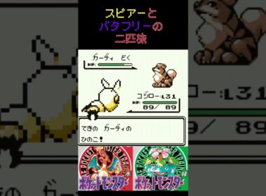 14　スピアーとバタフリーの二匹旅【初代ポケモン】 #ゲーム実況 #ポケモン実況 #ゲーム