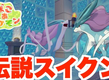 【ぽこあポケモン】ついに伝説スイクンが仲間に！【ぽこポケ】