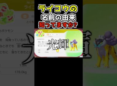 【ぽこあポケモン】ライコウの名前の由来知ってますか？#ぽこあポケモン #ぽこあ #ポケモン #ゲーム実況 #shortsvideo #shorts
