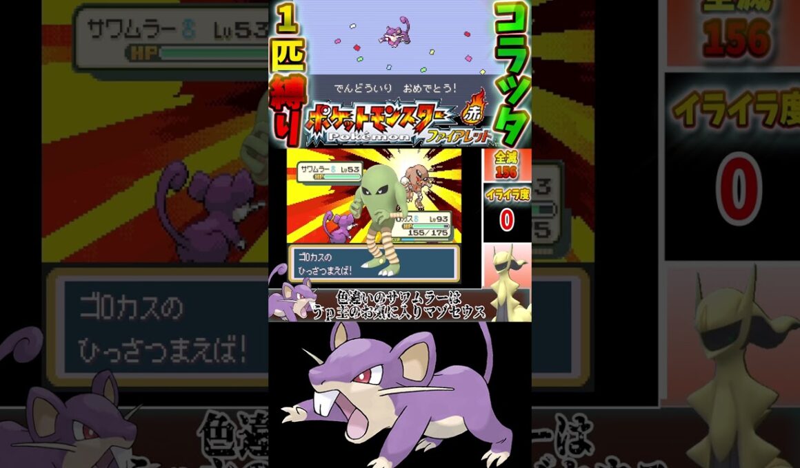 【種族値253】コラッタにも初戦で敗北してしまう四天王シバ【ゆっくり実況】【ポケモンFRLG】【コラッタ縛り】