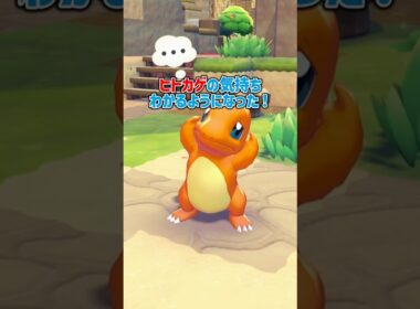 ヒトカゲはなんて言っているのか聞いてみたら…