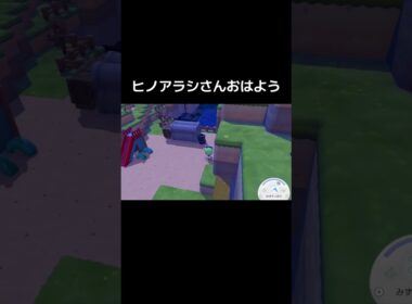 ヒノアラシさんおはよう#shorts【ぽこあポケモン】