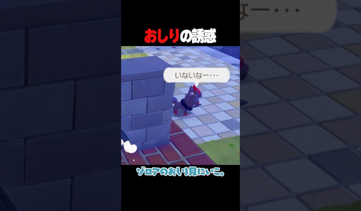 【ぽこポケ】ゾロアのおしりに魅了されてしまった配信者の末路がこちら… #ぽこあポケモン #shorts