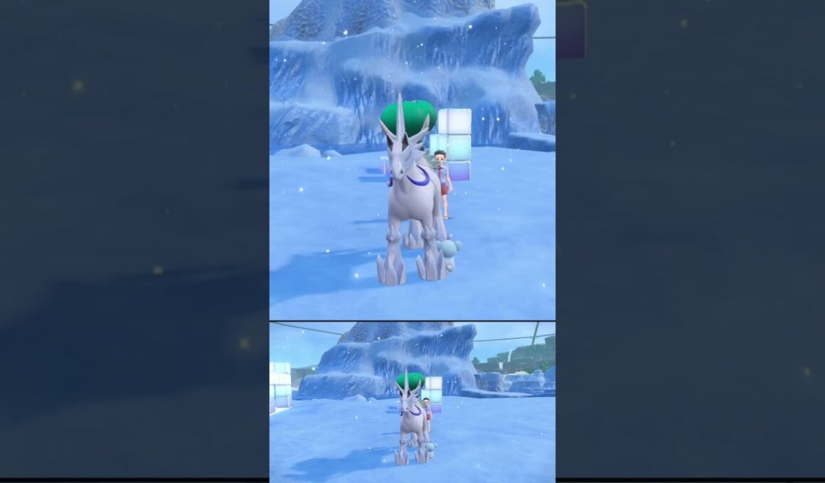 バドレックス を眺めていたら襲われた クマシュン #shorts #ポケモンsv #碧の仮面 #碧の円盤