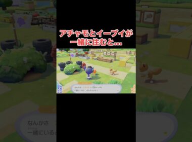 アチャモがイケメンすぎるwww#ぽこあポケモン #ぽこポケ