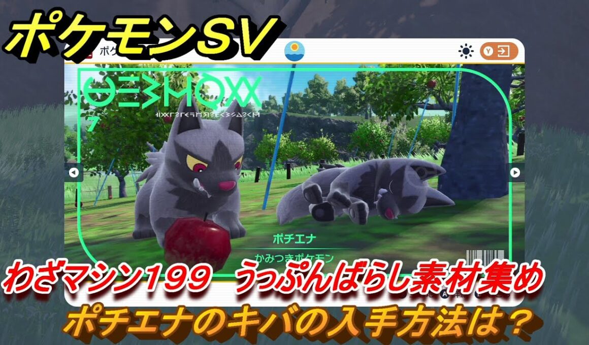 ポケモンＳＶ　わざマシン１９９　うっぷんばらし素材集め　ポチエナのキバの入手方法は？　＃２８５　【DLCゼロの秘宝　碧の仮面・藍の円盤】