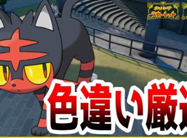 ニャビー色違い厳選【ポケモンSV】#色違い