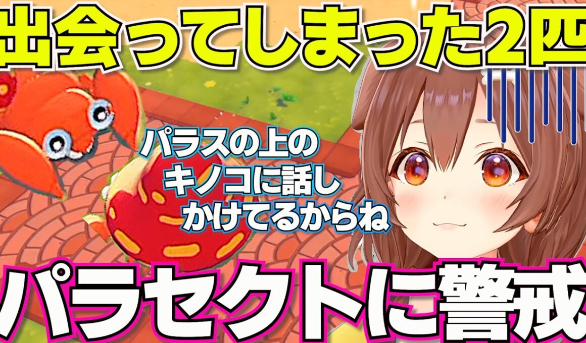 【ぽこあポケモン】パラセクトに対しめちゃくちゃ警戒するころさん【ホロライブ戌神ころね切り抜き】