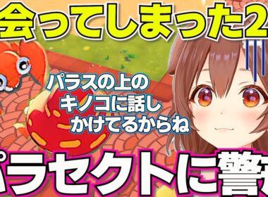 【ぽこあポケモン】パラセクトに対しめちゃくちゃ警戒するころさん【ホロライブ戌神ころね切り抜き】