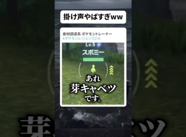 スボミーを芽キャベツと言ってしまう【#ポケモンレジェンズza 】