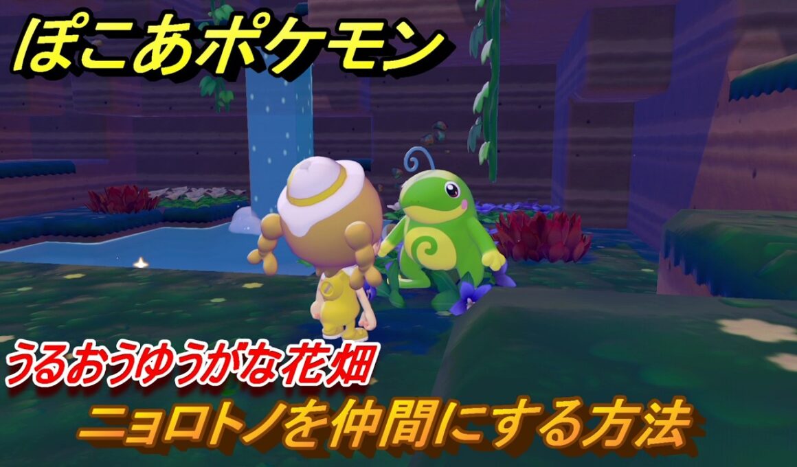 ぽこあポケモン　ニョロトノを仲間にする方法　うるおうゆうがな花畑　＃２７０　【ぽこポケ】