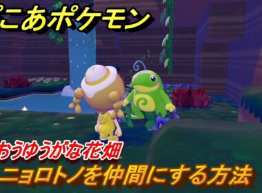 ぽこあポケモン　ニョロトノを仲間にする方法　うるおうゆうがな花畑　＃２７０　【ぽこポケ】