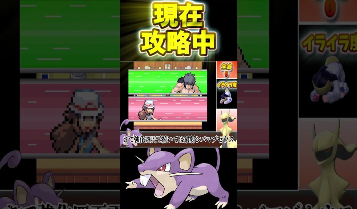 【種族値253】コラッタ1匹で強化四天王に挑んだ結果…シバにボコボコにされた件について【ゆっくり実況】【ポケモンFRLG】【コラッタ縛り】