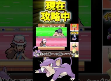 【種族値253】コラッタ1匹で強化四天王に挑んだ結果…シバにボコボコにされた件について【ゆっくり実況】【ポケモンFRLG】【コラッタ縛り】