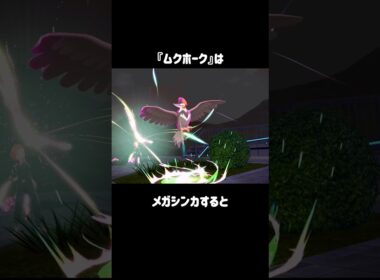 『ムクホーク』の小ネタ #ポケモンza
