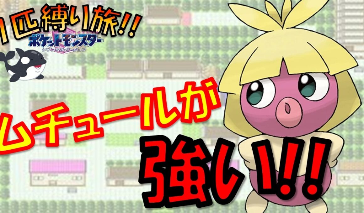 ムチュールを進化禁止で旅してみたら予想以上の強さを見せつけた!!