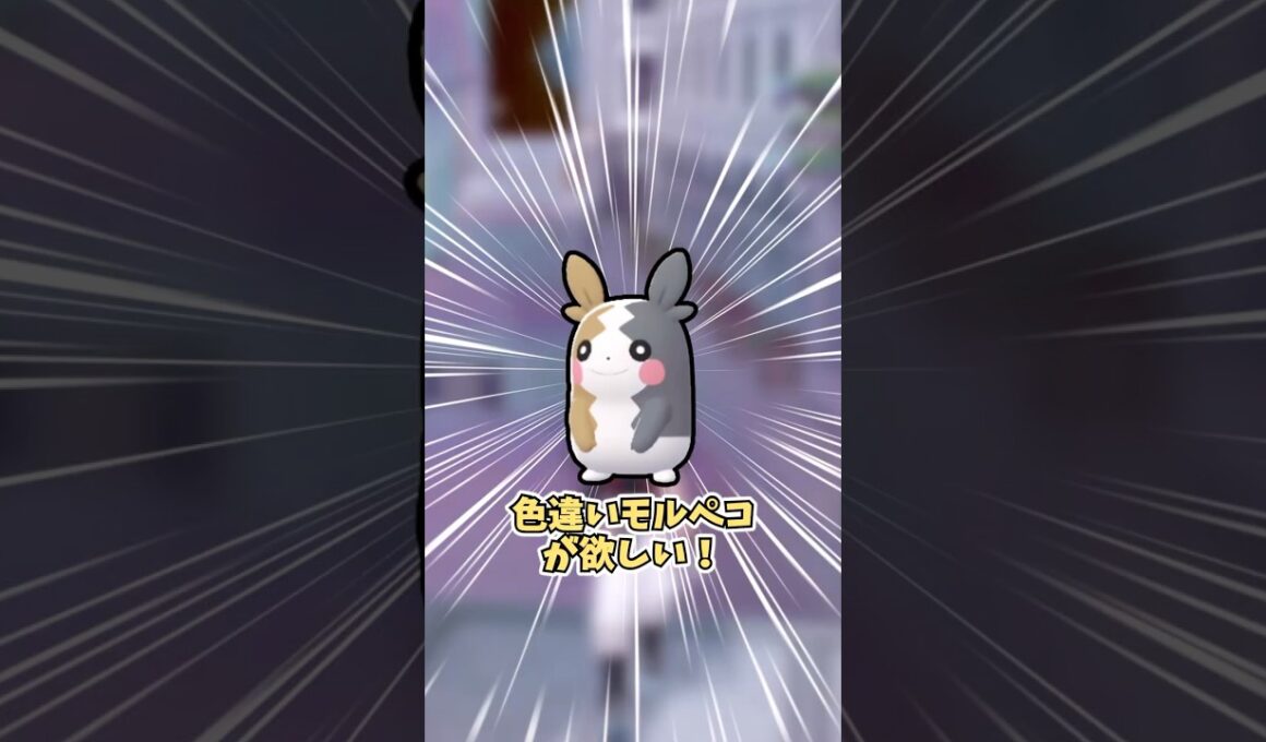【ポケモンZA】色違いモルペコが欲しい！ #shorts