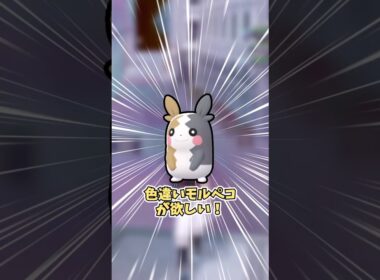 【ポケモンZA】色違いモルペコが欲しい！ #shorts