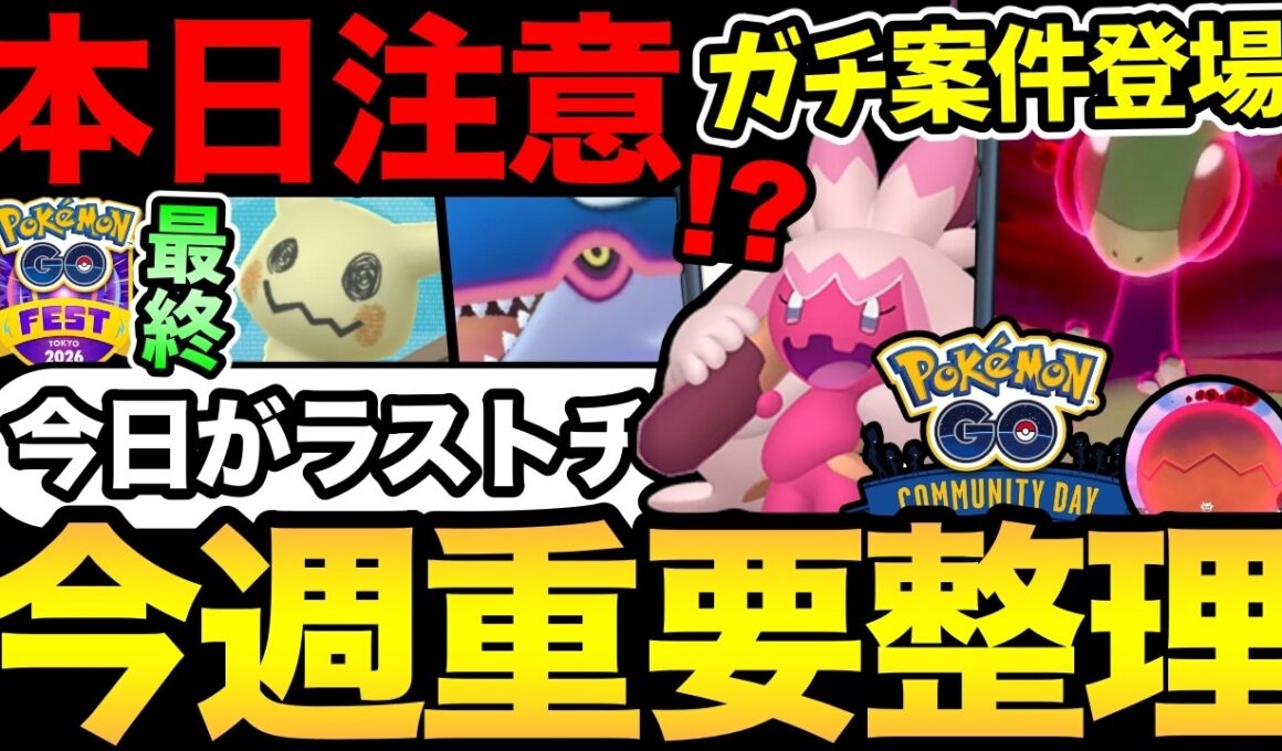 今日は時間と締め切りに注意！耐久値NO.1のフライゴン登場！GOフェスチケットの最新情報！カヌチャンコミュデイも！【 ポケモンGO 】【 GOバトルリーグ 】【 GBL 】【  】