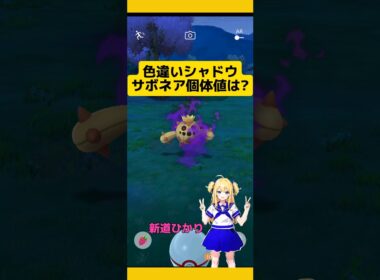 【ポケモンGO】色違いシャドウサボネア!!個体値は?#ポケモンgo #サボネア#ロケットリーダー#シャドウ色違い