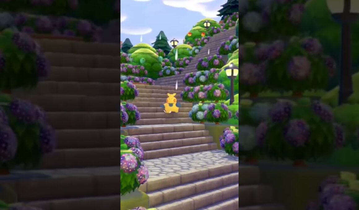 情景のあるマクノシタの1人散歩🚶 #ぽこあポケモン #ポケモン