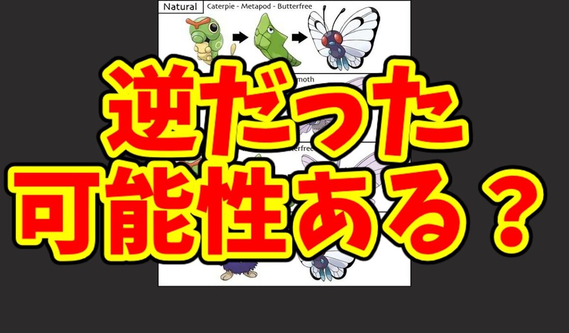バタフリーとモルフォン逆説はどこまであり得るのか