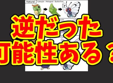 バタフリーとモルフォン逆説はどこまであり得るのか