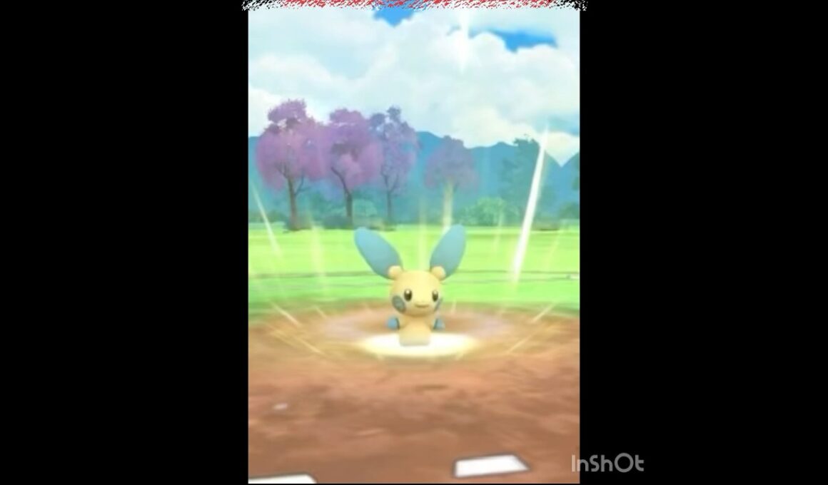 ゆけ⚡️マイナン⚡️