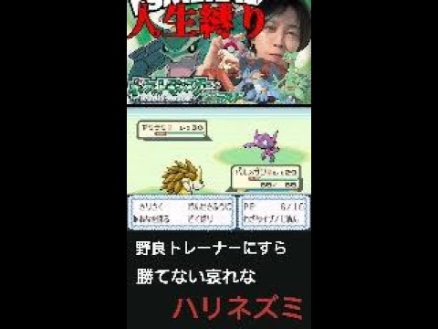 手塩に育てたサンドパン、普通に弱かった