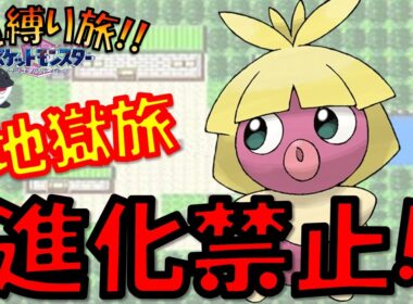 【絶望】ムチュール1匹で『進化禁止』縛りしたら、マジで地獄を見た【ポケモン実況】