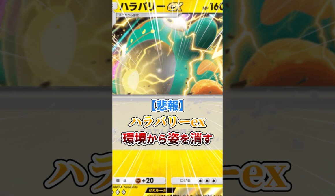 【悲報】ハラバリーex、環境から姿を消す