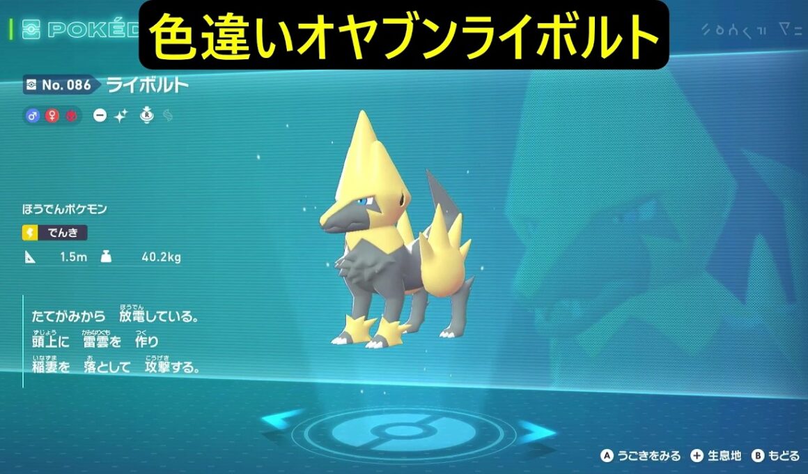 色違いオヤブンラクライ・ライボルト ポケモンレジェンズZA M次元ラッシュ Pokémon LEGENDS Z-A Mega Dimension #ポケモン