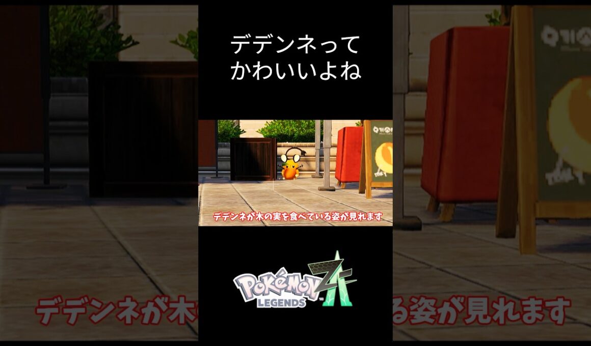 【ポケモンZA】デデンネの生態観察 #ポケモン #ポケモンza #デデンネ