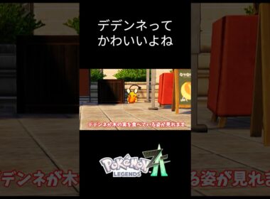 【ポケモンZA】デデンネの生態観察 #ポケモン #ポケモンza #デデンネ