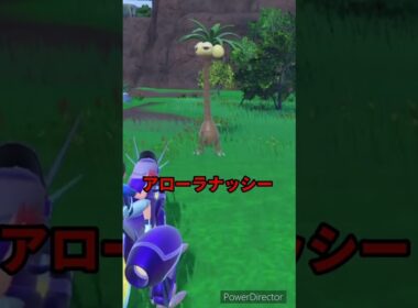 【ポケモンバイオレット】アローラナッシーみっけ　#ポケモンバイオレット #ゲームリハビリ #shorts