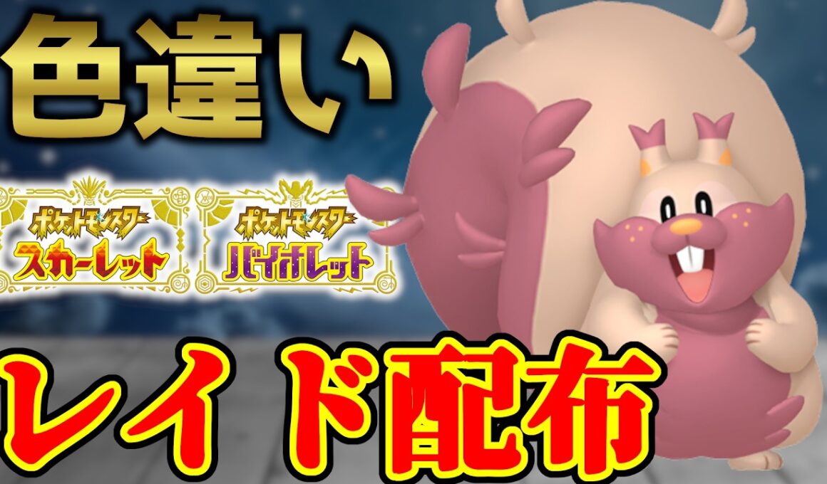 【欲張ってる・・・？】 色ヨクバリス 色レイド配布 shiny raid 【ポケモンSV】#参加型配信