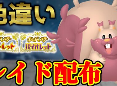 【欲張ってる・・・？】 色ヨクバリス 色レイド配布 shiny raid 【ポケモンSV】#参加型配信