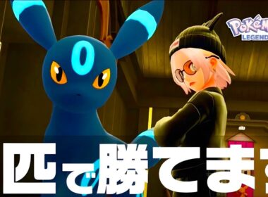 【ポケモンZA】『ブラッキー』は1匹でランクマ最上位帯優勝できます。【M次元ラッシュ】【Pokémon LEGENDS Z-A】【ランクマッチ】【ZAランクマ】【ポケモンレジェンズZA】【ぴ。】