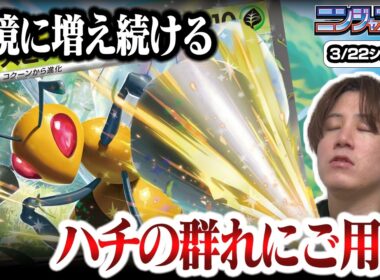【ポケカ】環境を狙う刺客！！今環境で増えているスピアーexデッキが危険すぎると話題に【ひとくちポケカ解説】