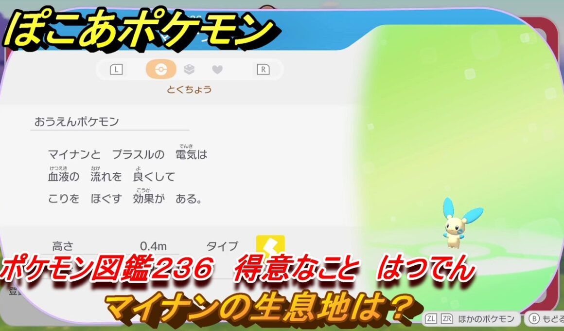 ぽこあポケモン　マイナンの生息地は？　ポケモン図鑑２３６　得意なこと　はつでん　＃９８０　【ぽこポケ】