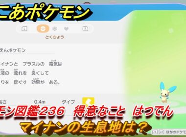 ぽこあポケモン　マイナンの生息地は？　ポケモン図鑑２３６　得意なこと　はつでん　＃９８０　【ぽこポケ】