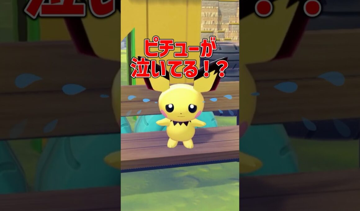 ピチューが泣いている理由がまさかだった！！！
