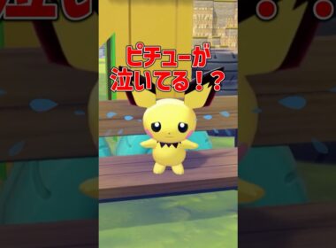 ピチューが泣いている理由がまさかだった！！！