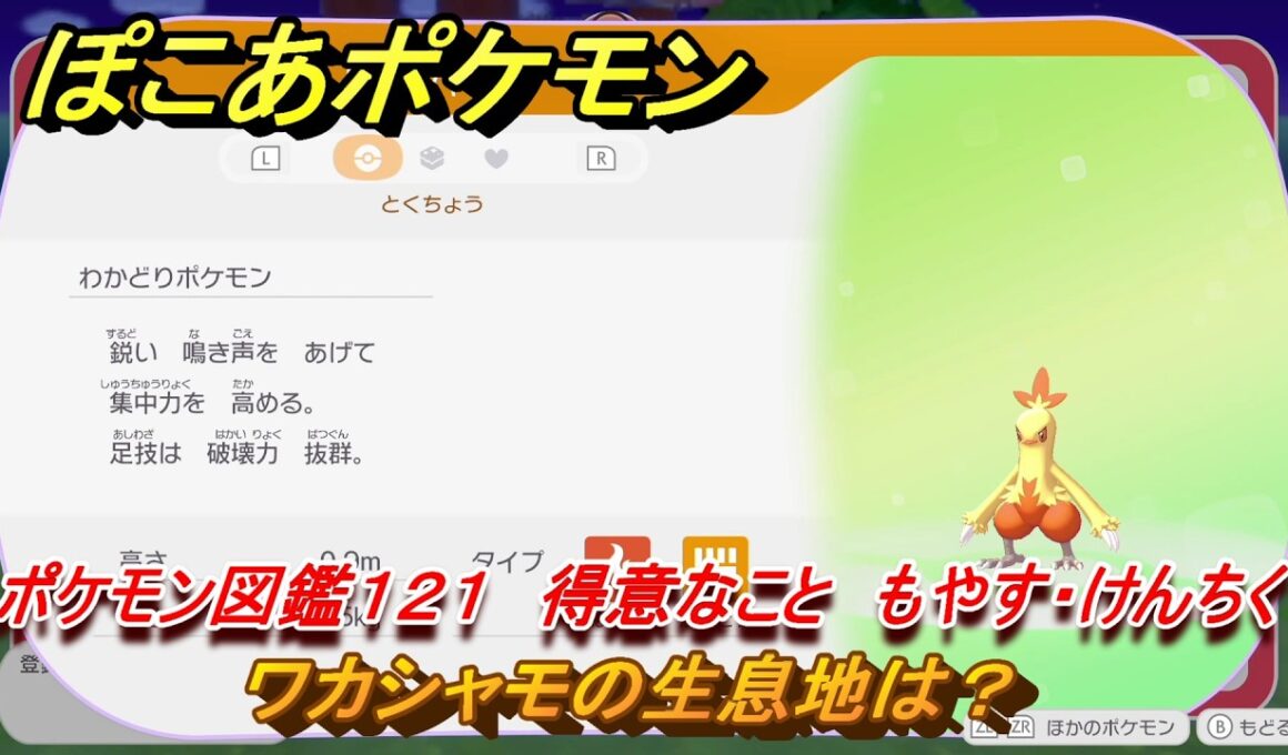 ぽこあポケモン　ワカシャモの生息地は？　ポケモン図鑑１２１　得意なこと　もやす・けんちく　＃８６６　【ぽこポケ】