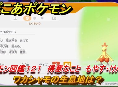 ぽこあポケモン　ワカシャモの生息地は？　ポケモン図鑑１２１　得意なこと　もやす・けんちく　＃８６６　【ぽこポケ】