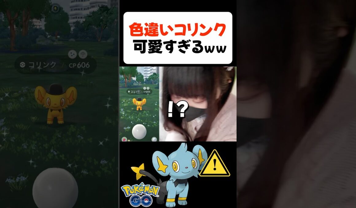 色違いコリンクが可愛すぎるｗｗ【ポケモンGO】 #shorts