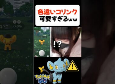 色違いコリンクが可愛すぎるｗｗ【ポケモンGO】 #shorts