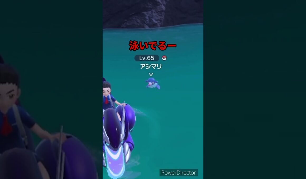 【ポケモンバイオレット】アシマリって泳いでるのもかわいいよね　#ポケモンバイオレット #ゲームリハビリ #切り抜き #shorts